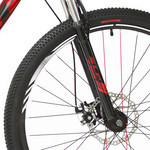 Bicicleta Aspen 2953M R29 21V Dis.alum.17 Shimano Negr-Bca.